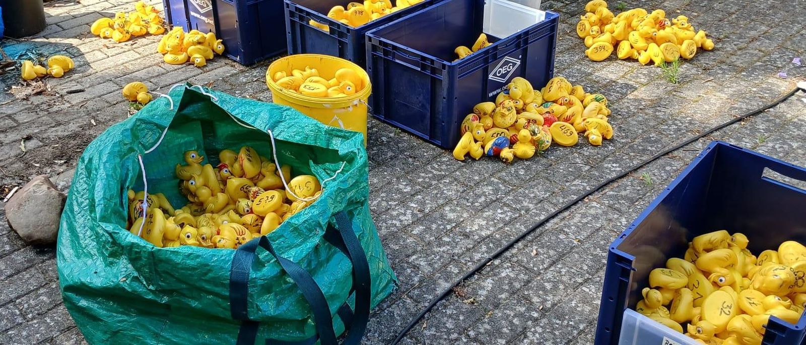 Nummerierte gelbe Plastikenten in Säcken und Kisten vor dem Entenrennen