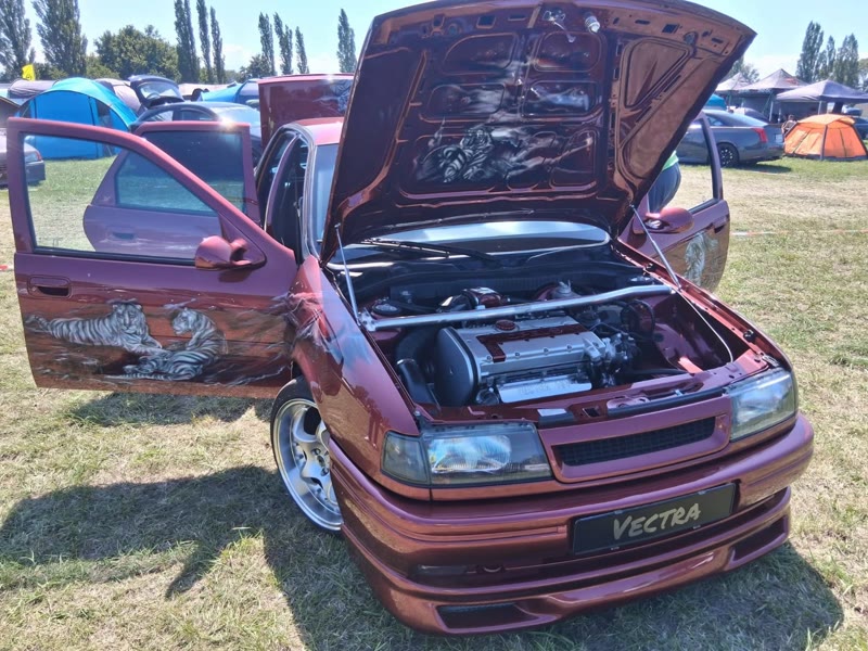Roter Vectra mit Tiger-Lack an der Tür