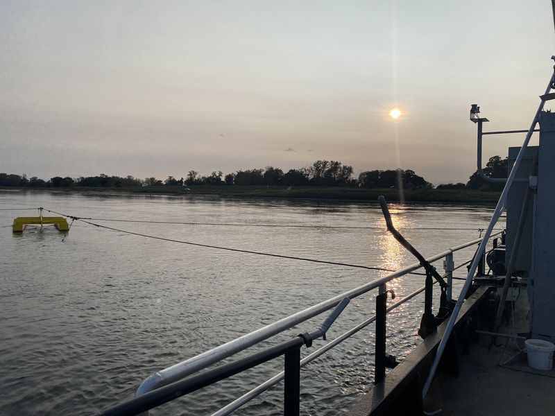 Abendlicht auf der Elbe vom Fährdeck, gelber Schwimmkörper des Gierseils