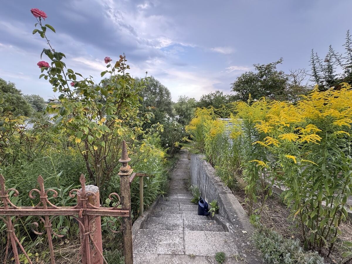 Stufen und Garten am Fischerhaus Richtung Havel