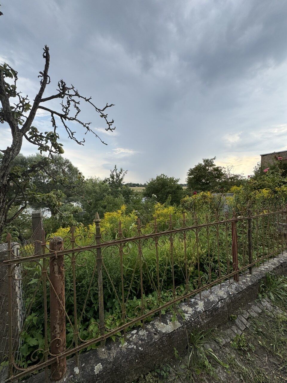 Blick vom Grundstück über Grün zur Havel